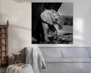 Bébé éléphant sur Omega Fotografie