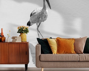 Reflection of Serenity - The Indian Yawner in Monochrome by Femke Ketelaar