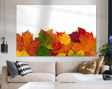 Golden autumn leaves on white background by Animaflora PicsStock