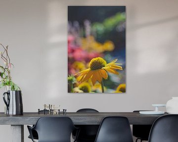 Gele echinaceabloem - Natuur- en voorjaarsfotografie van Carolina Reina