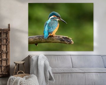 Kingfisher by Lies Bakker