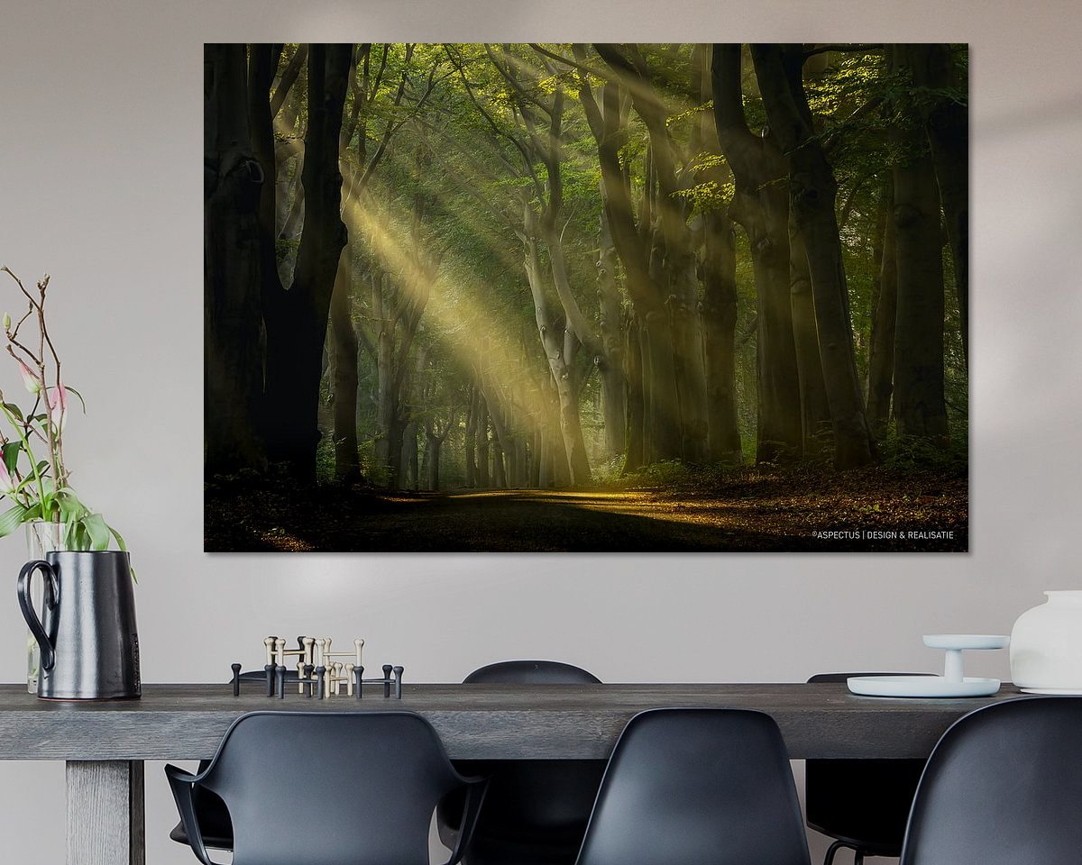Voorbeeld van het werk in een kamer