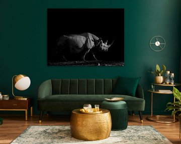 Travail sur le mur noir et blanc (Rhinocéros) sur Omega Fotografie