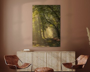 Sonnenlicht durch die Bäume im Wald von Einde Gooi in Hilversum von Phillipson Photography