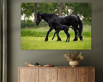 Friesian horse with playful foal by Special Moments MvL