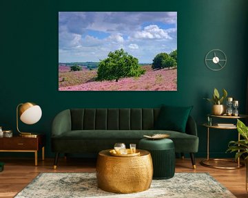 Blühende Heidehügel an der Posbank im Nationalpark Veluwezoom von Sjoerd van der Wal Fotografie