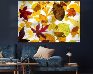 Herfstbladeren collage van Anjo Kan
