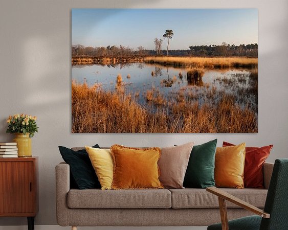 Aperçu de la chambre