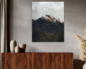 Bergtop in de wolken, Colombia van Felix Van Leusden