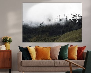 Laaghangende wolken over hoogste palmbomen ter wereld - Colombia, Salento van Felix Van Leusden
