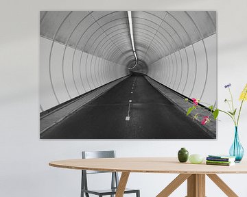 Tunnel by Jan Pott