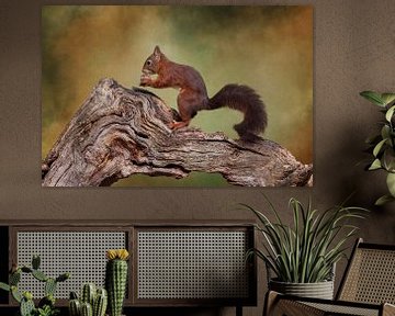 Eichhörnchen im Wald. von Janny Beimers