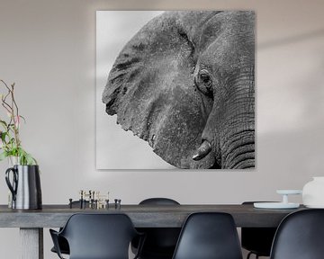 Olifant in Afrika van Omega Fotografie