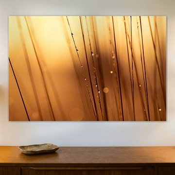 Strabrechtse Heide 226