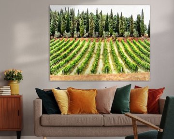 Cipressen en wijngaard Umbrië van Dorothy Berry-Lound