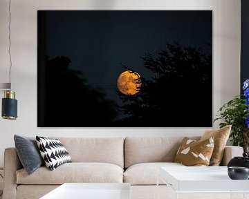 Opkomende volle maan in oktober van Michael van Eijk