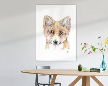 Little fox