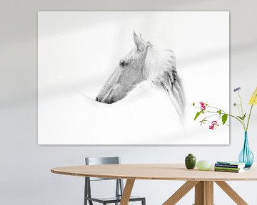 Fine Art wit Paard met witte achtergrond van Femke Ketelaar