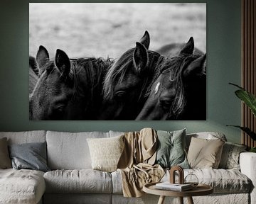 Fine Art Paarden in kudde van Femke Ketelaar