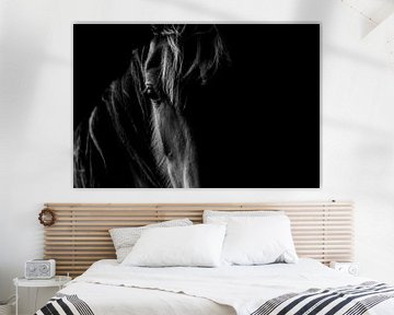 Fine Art zwart Paard kijkend in de camera close-up van Femke Ketelaar