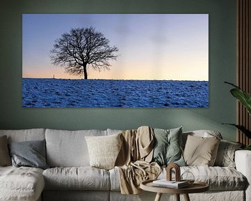 Eenzame boom in de winter van Henrys-Photography