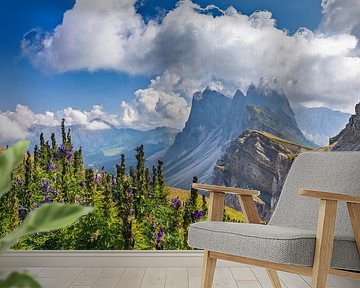 Seceda of the Geisler Group in the Dolomites by Dieter Meyrl