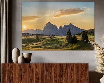 Alpe di Siusi in the Dolomites by Dieter Meyrl