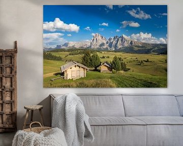 Alpe di Siusi in the Dolomites by Dieter Meyrl