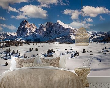 Alpe di Siusi in the Dolomites by Dieter Meyrl