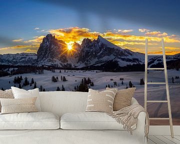 Alpe di Siusi in the Dolomites by Dieter Meyrl