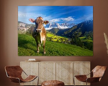 Happy cow in the Dolomites in front of Geisler Group by Dieter Meyrl