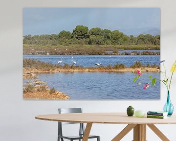 Flamingos in the salt flats at Es Trenc (Mallorca) by t.ART