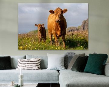 Wantrouwende nieuwsgierigheid - Een koe met kalf in een weide van levendige kleuren van Teun Mourits