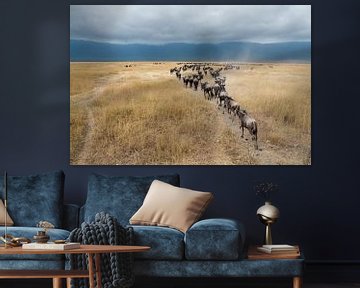 Gnoe of Wildebeesten in savanne van Afrika van Herman van Ommen