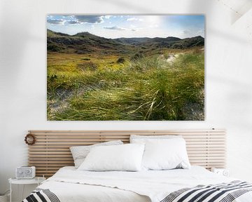 Sonnenlicht über der weiten Dünenlandschaft