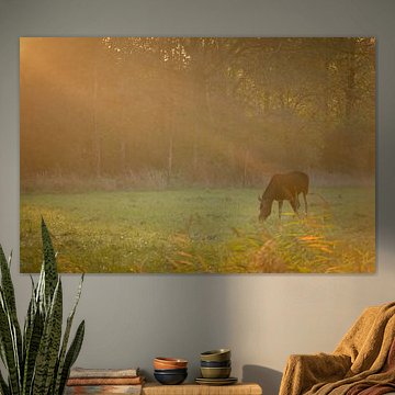 élan au lever du soleil