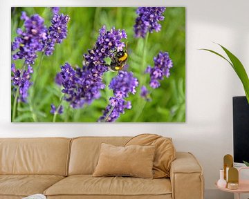 Bee on a lavender twig by Frans Blok