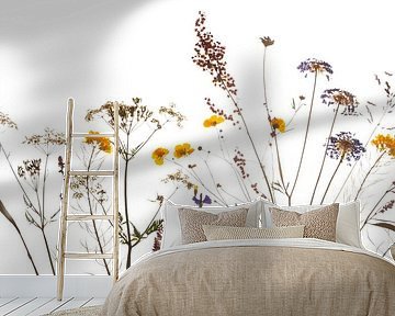 bermbloemen vers uit de pers by Anjo Kan