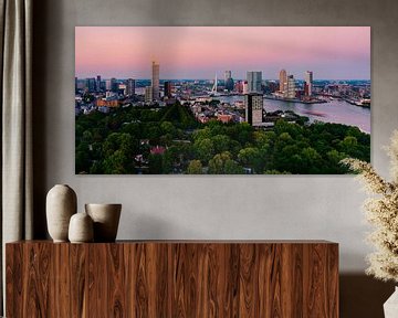 Rotterdam Skyline in pink van Larissa Snoek