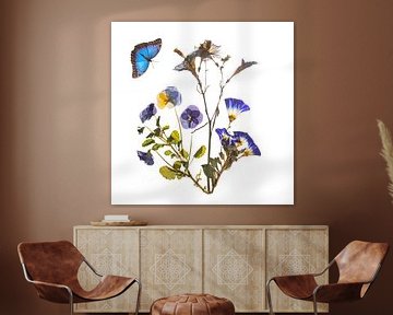 Salpiglossis mit Schmetterling von Anjo Kan
