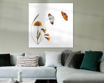 Ringelblume mit Schmetterlingen von Anjo Kan