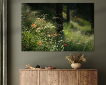 Poppies on a hill with trees