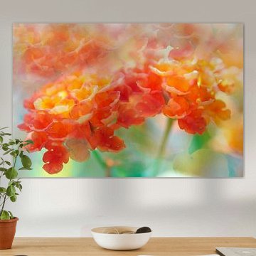 Rêve floral
