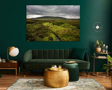 Green bog landscape in Ireland
