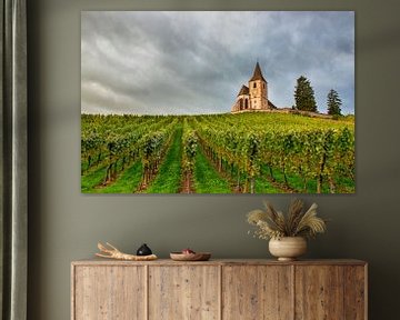 Karakteristiek kerkje in de Franse wijngaarden van de Elzas van Connie de Graaf
