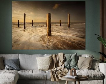 Palm village Petten in the sea during sunset by KB Design & Photography (Karen Brouwer)