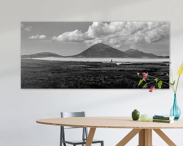 Walker and sheep on a beach in Ireland by Bo Scheeringa Photography