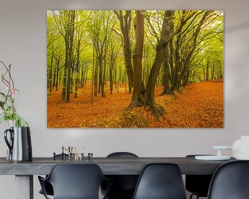 Journée d'automne dans une forêt de hêtres avec des feuilles brunes sur les collines sur Sjoerd van der Wal Photographie