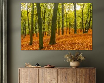 Journée d'automne dans une forêt de hêtres avec des feuilles brunes sur les collines sur Sjoerd van der Wal Photographie