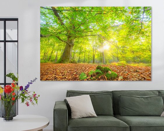 Aperçu de la chambre